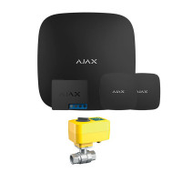 Ajax Hub + LeaksProtect (2од) + WallSwitch + кран з електроприводом Neptun Profi 220в 1/2 Ajax Hub + LeaksProtect (2од) + WallSwitch + кран з електроприводом Neptun Profi 220в 1/2